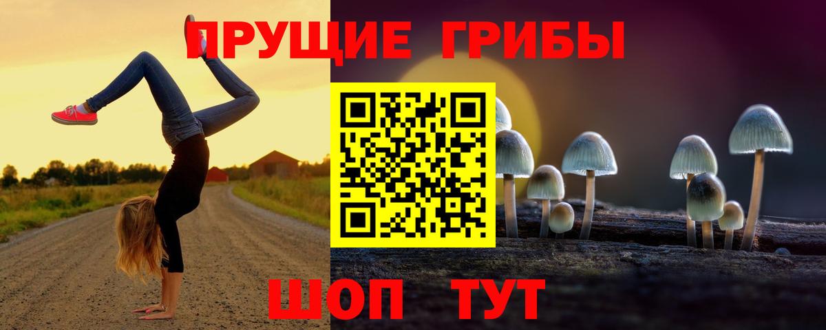 Галлюциногенные грибы GOLDEN TEACHER Реж